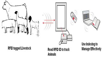 animal rfid sensor high frequency|rfid research paper.